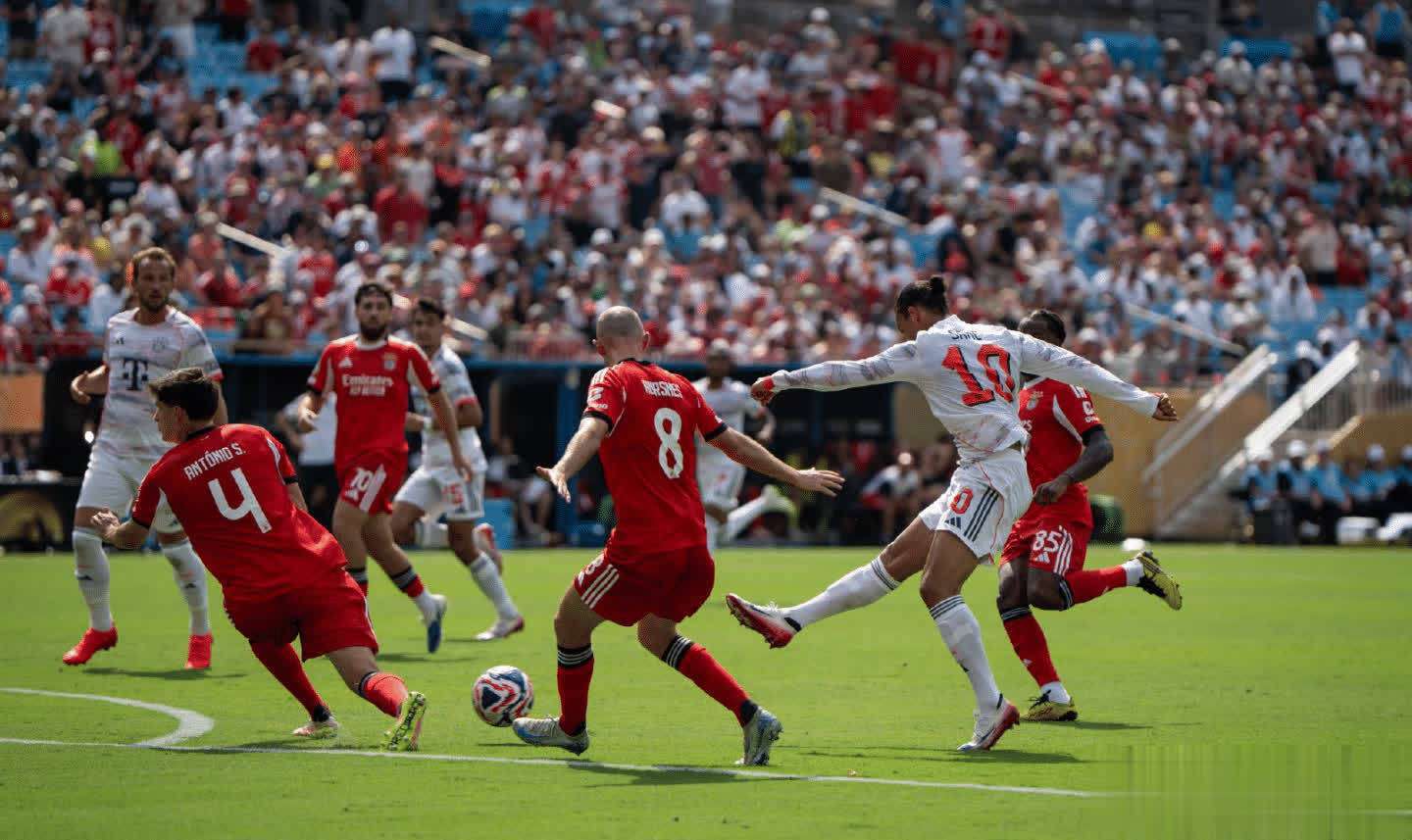 今日法甲赛程表 今日法甲赛程表